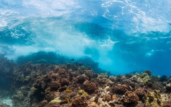 what is prohibited in MPA