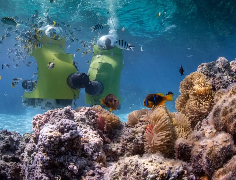 snorkeling tours Bora Bora price snorkeling tours Bora Bora price