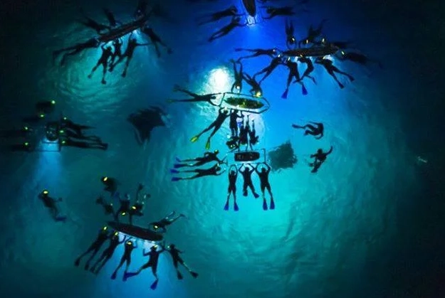 snorkeling with manta rays Maui