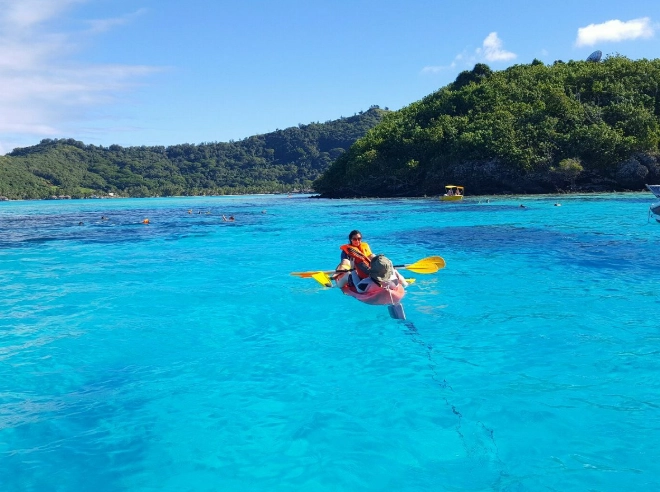 Bora Bora marine life