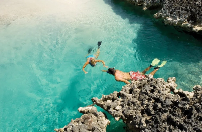 Bahamas snorkeling tours