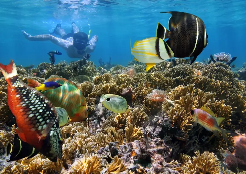 best snorkeling Costa Rica best snorkeling Costa Rica