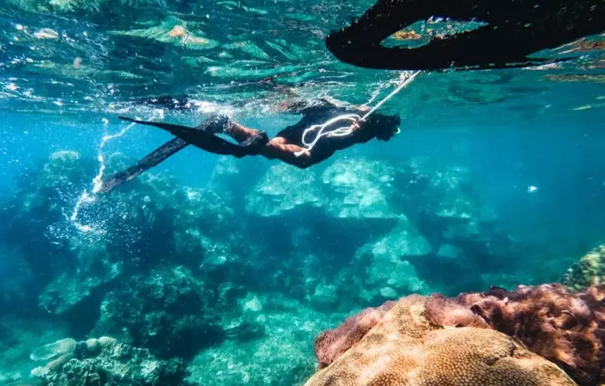 snorkeling Seychelles cost