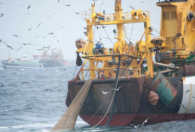 marine protected area rules