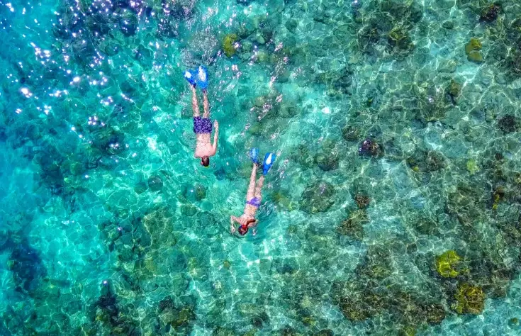 Bahamas snorkeling spots