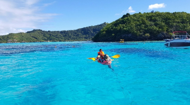Bora Bora marine life