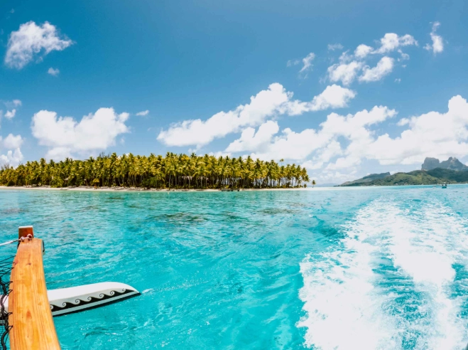 Coral garden Bora Bora