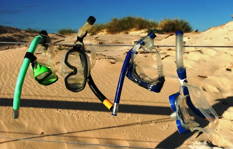 snorkel gear maintenance