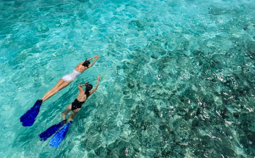 Seychelles snorkeling danger