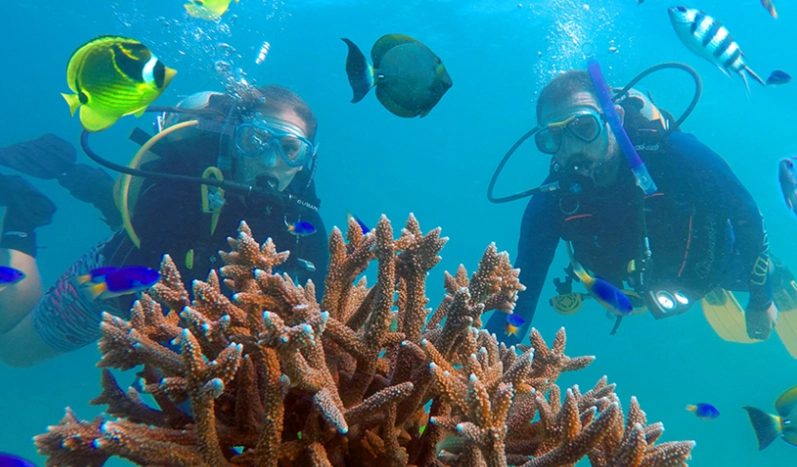 snorkeling Mahe Seychelles