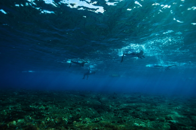 best time to snorkel big island