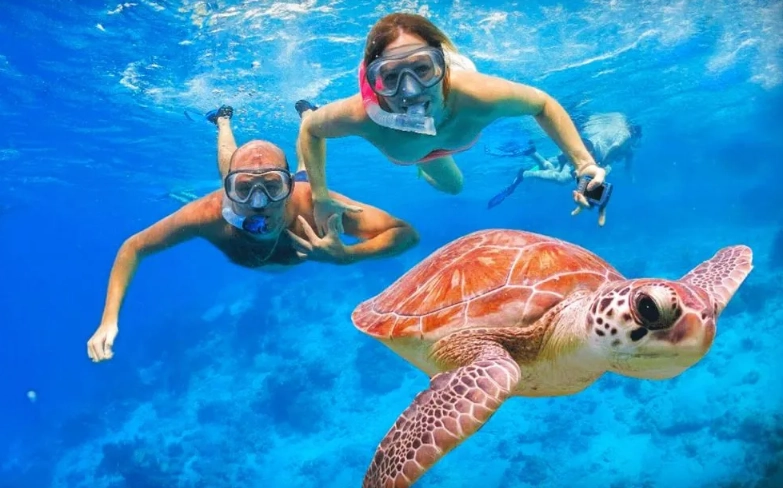 ethical snorkeling with turtles