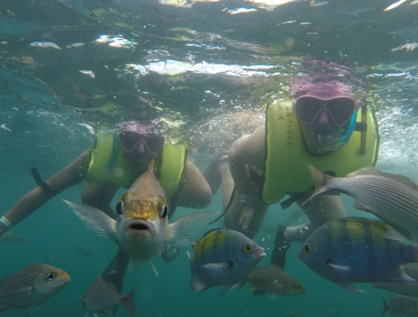 Costa Rica Pacific vs Caribbean snorkeling