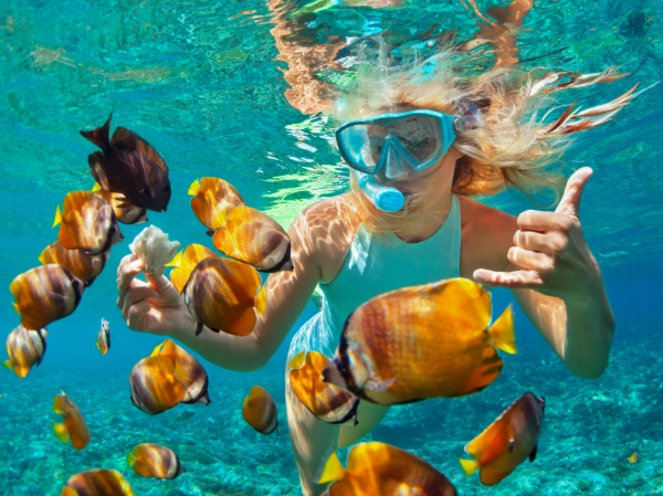 snorkeling season guide
