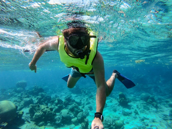 best time to snorkel