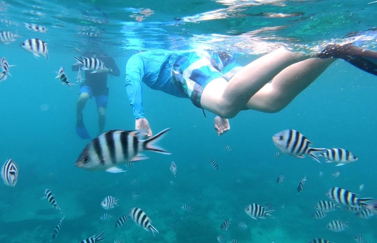 snorkeling safety Seychelles
