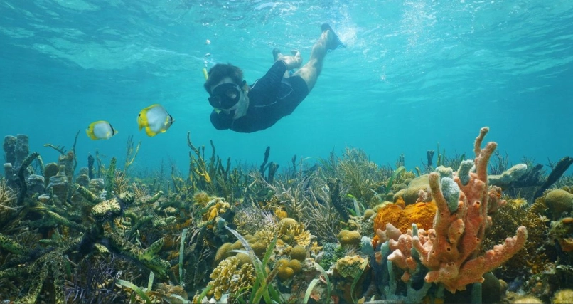 Costa Rica Pacific vs Caribbean snorkeling