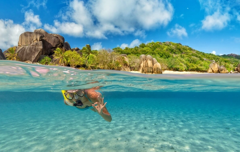 dangerous marine life Seychelles