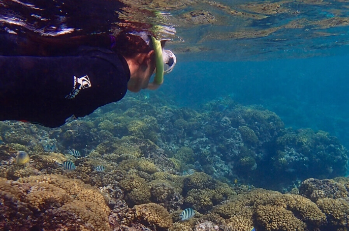 snorkeling safety Seychelles