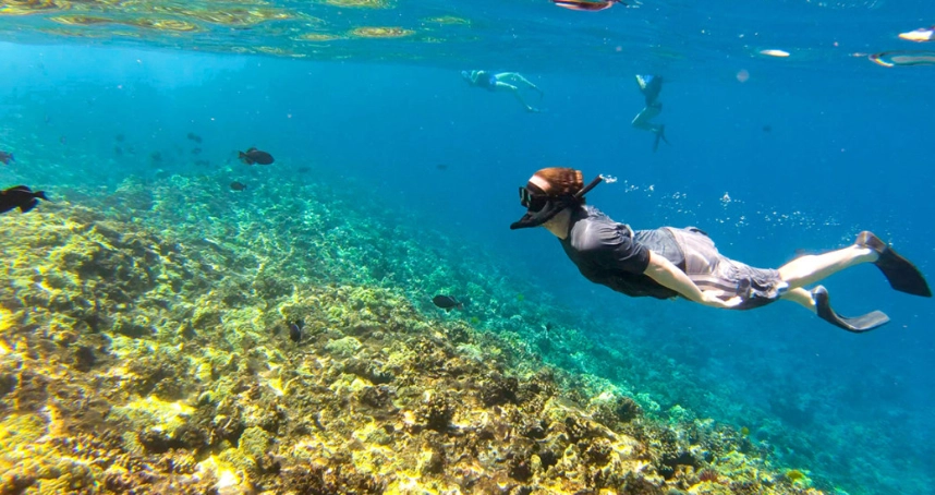 hawaii snorkeling season