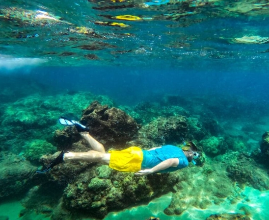 Waikiki snorkeling conditions