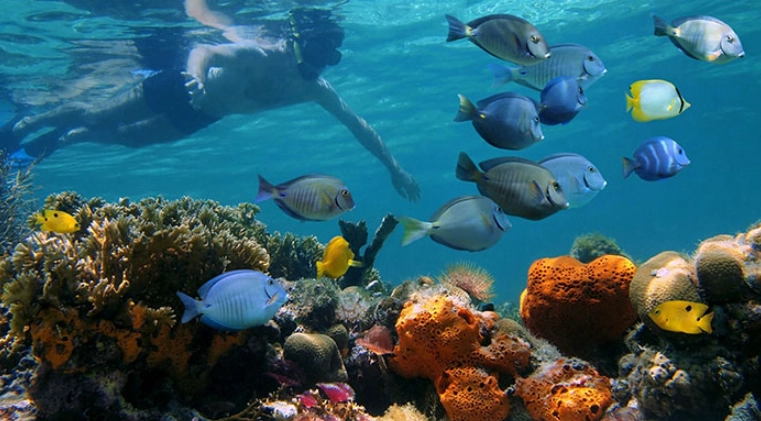 best snorkeling Costa Rica