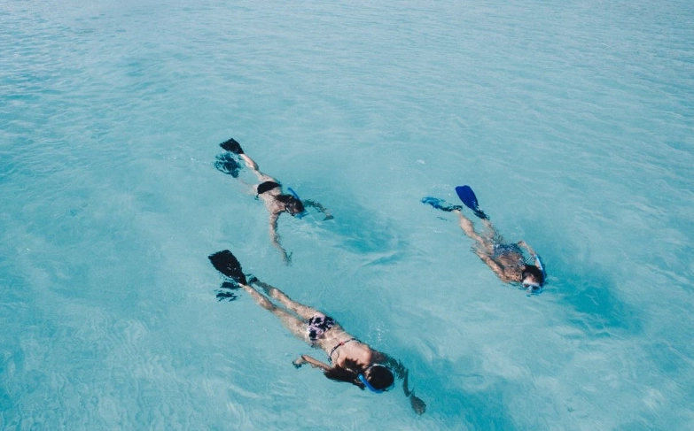 dangerous marine life Seychelles