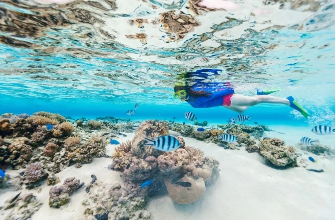 best time to snorkel Maui best time to snorkel Maui