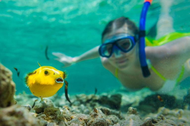 Seychelles snorkelling spots Seychelles snorkelling spots