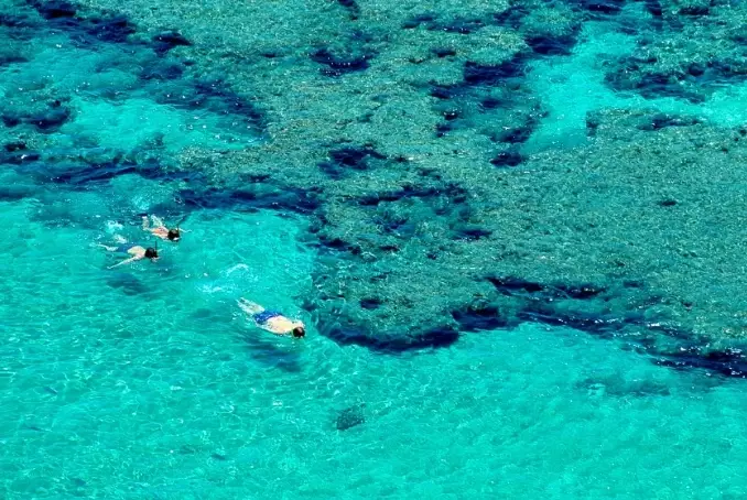 best time to snorkel Maui best time to snorkel Maui