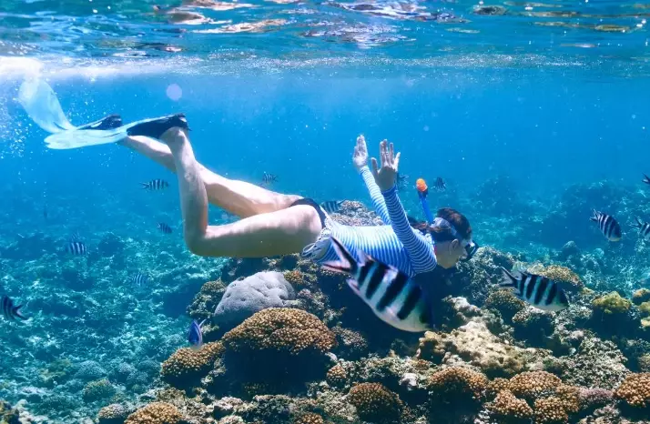 snorkeling in Seychelles