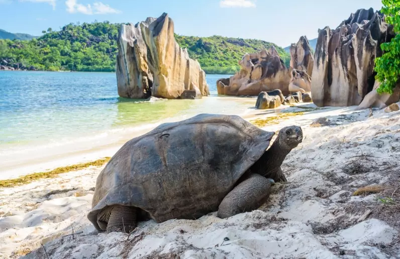 Seychelles travel safety