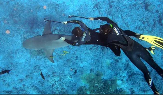 afternoon snorkeling