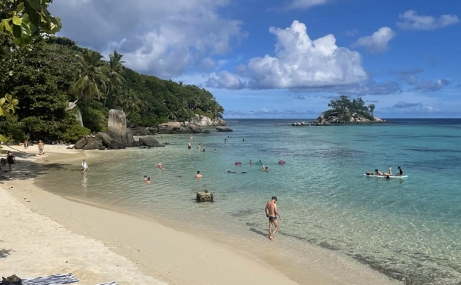 Seychelles marine life