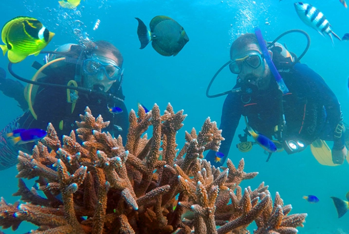 snorkeling in Seychelles