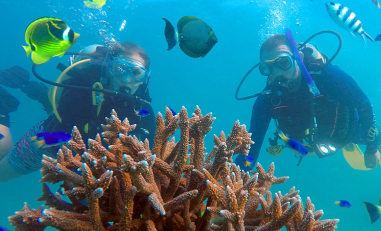 snorkelling in Seychelles snorkelling in Seychelles