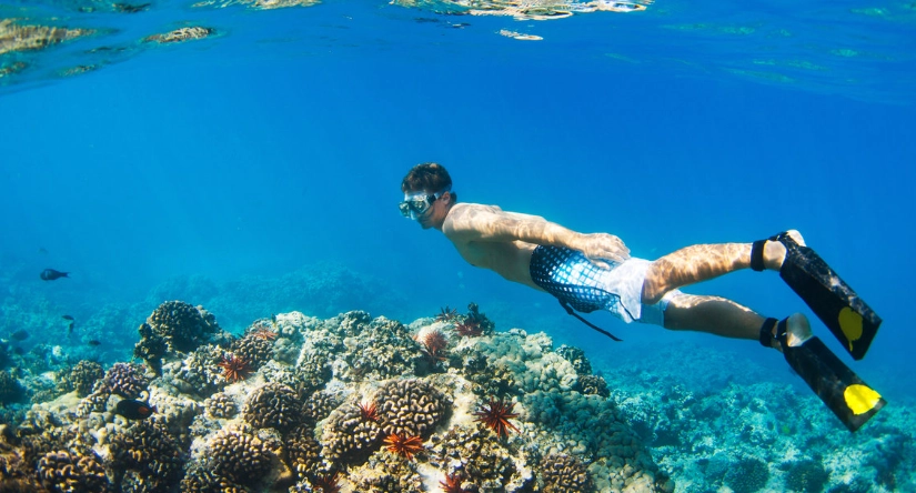 best time to snorkel in hawaii