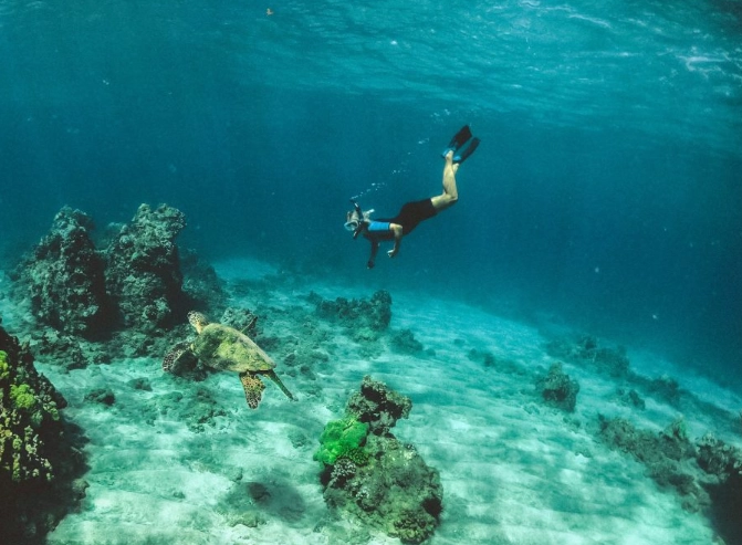 snorkeling safety Seychelles