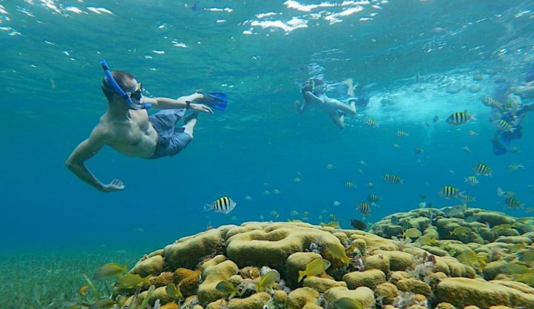 best time to snorkel