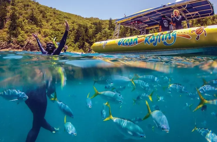 snorkeling tours near me