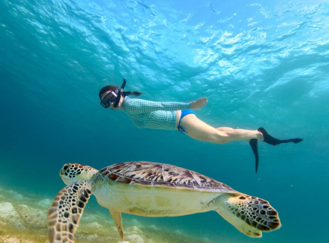 snorkeling near colorado