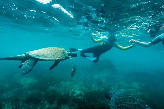 best snorkeling Galapagos