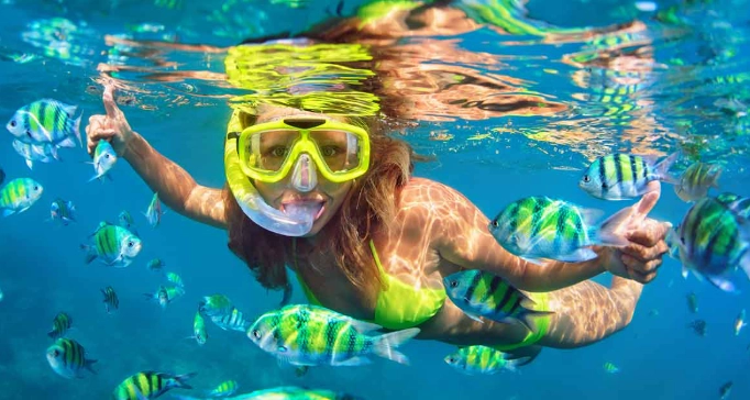 how to snorkel responsibly