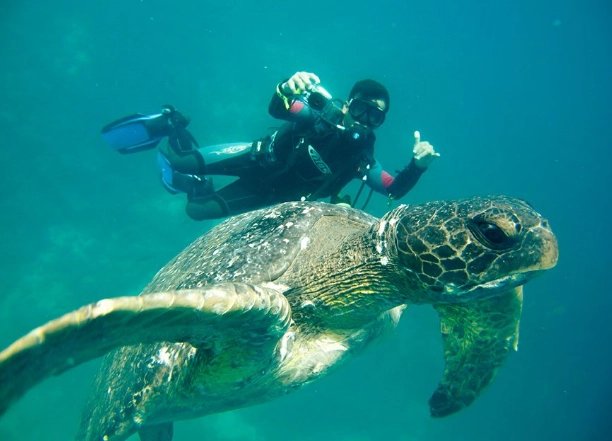 snorkeling in Galapagos islands