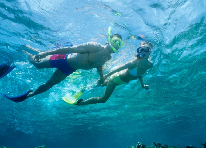 best snorkeling day trips