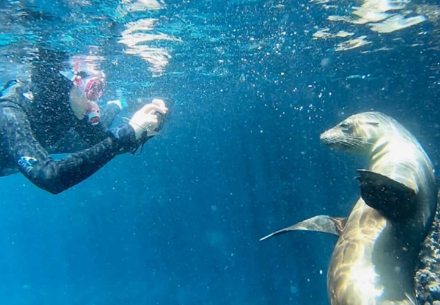 Galapagos snorkeling tours