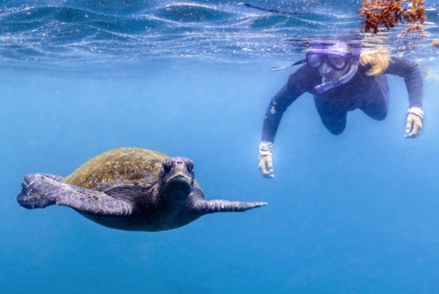 Galapagos snorkeling tours