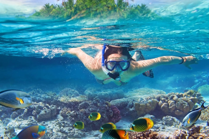 snorkeling day trips near me
