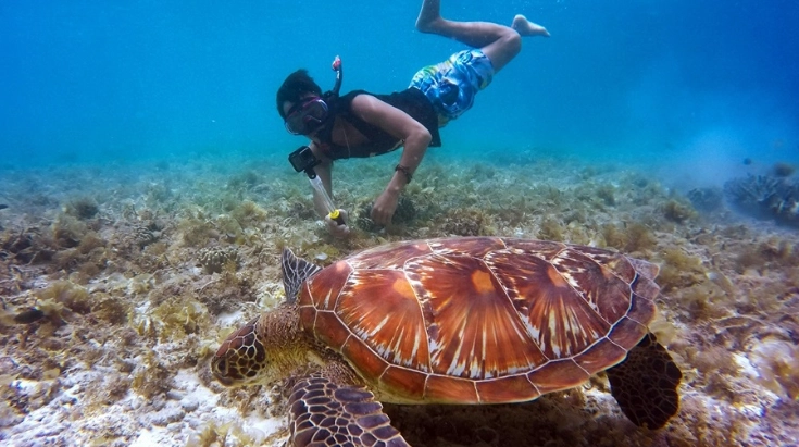 best snorkeling Galapagos