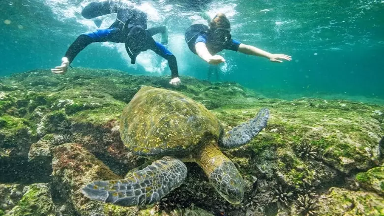 snorkeling in Galapagos islands